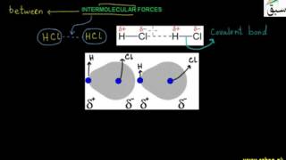 Intermolecular Forces