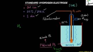 Standard Hydrogen Electrode