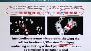 BIO201_Topic150