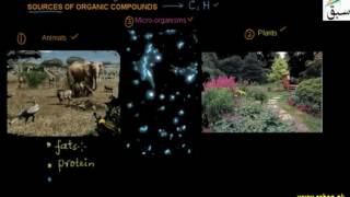 Sources of Organic Compounds