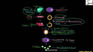 Objectives and Basic Steps of Genetic Engineering