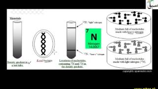The Meselson-Stahl Experiment