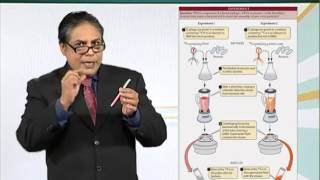 BIO201_Topic063