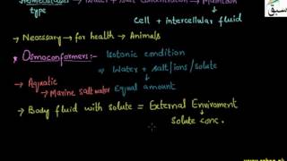 Osmoregulation in Animals