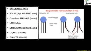 Saturated and Unsaturated Fats
