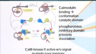 BIO201_Topic109