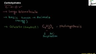 Carbohydrates
