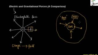 Electric and Gravitational Forces (A Comparison)
