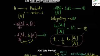Half Life Period