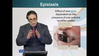 BIO201_Topic052