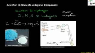 Detection of Elements in Organic Compounds