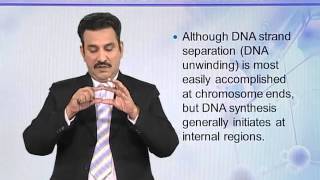 BIO302_Topic047