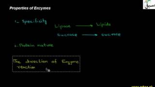 Properties of Enzymes