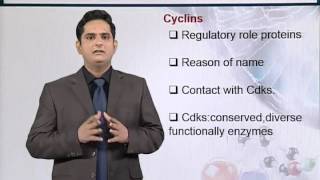 BIF731_Topic154