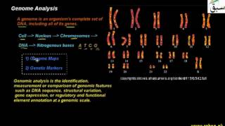 Genome Analysis
