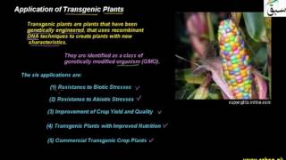 Application of Transgenic Plants