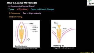 More on Nastic Movements