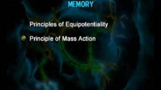 PSY610_Lecture43