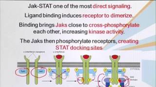 BIO201_Topic116