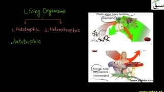 Autotrophic and Heterotrophic Organisms