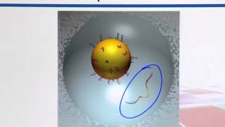 BIF733_Topic056