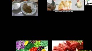 Need for Food