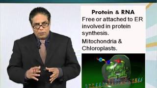 BIO201_Topic017