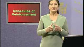 PSY101_Lecture21