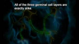 PSY610_Lecture17