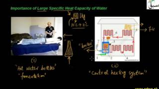 Importance of Large specific Heat Capacity of Water