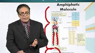 BIO201_Topic010