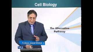 BIO201_Topic140