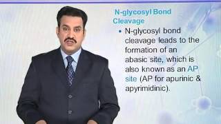 BIO302_Topic059