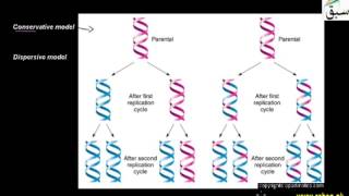 Types of Replication