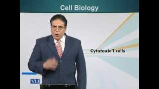 BIO201_Topic133