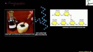 Polysaccharides