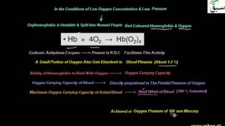 Transport of Oxygen