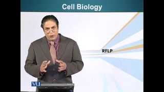 BIO201_Topic081