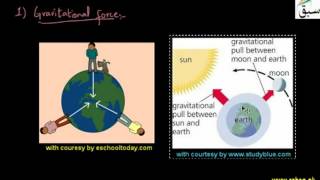 Basic forces of nature