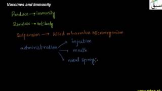 Vaccines, The Mode of Action of Vaccines