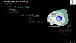 Histology Cell biology