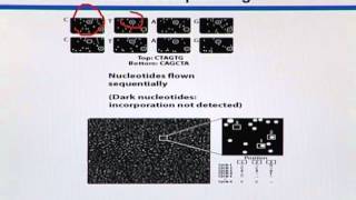 BIF733_Topic062