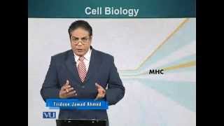 BIO201_Topic132