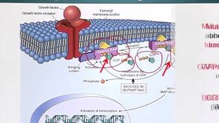 BIO201_Topic142