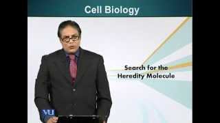 BIO201_Topic062