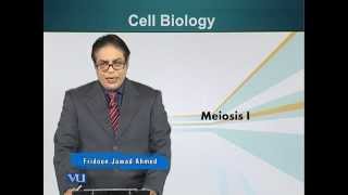 BIO201_Topic043
