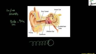 Audible Frequency Range