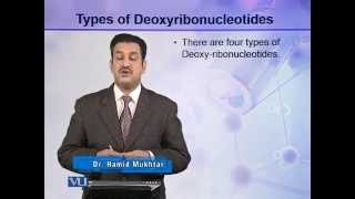 BIO302_Topic007
