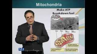 BIO201_Topic020