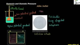 Osmosis and Osmotic Pressure